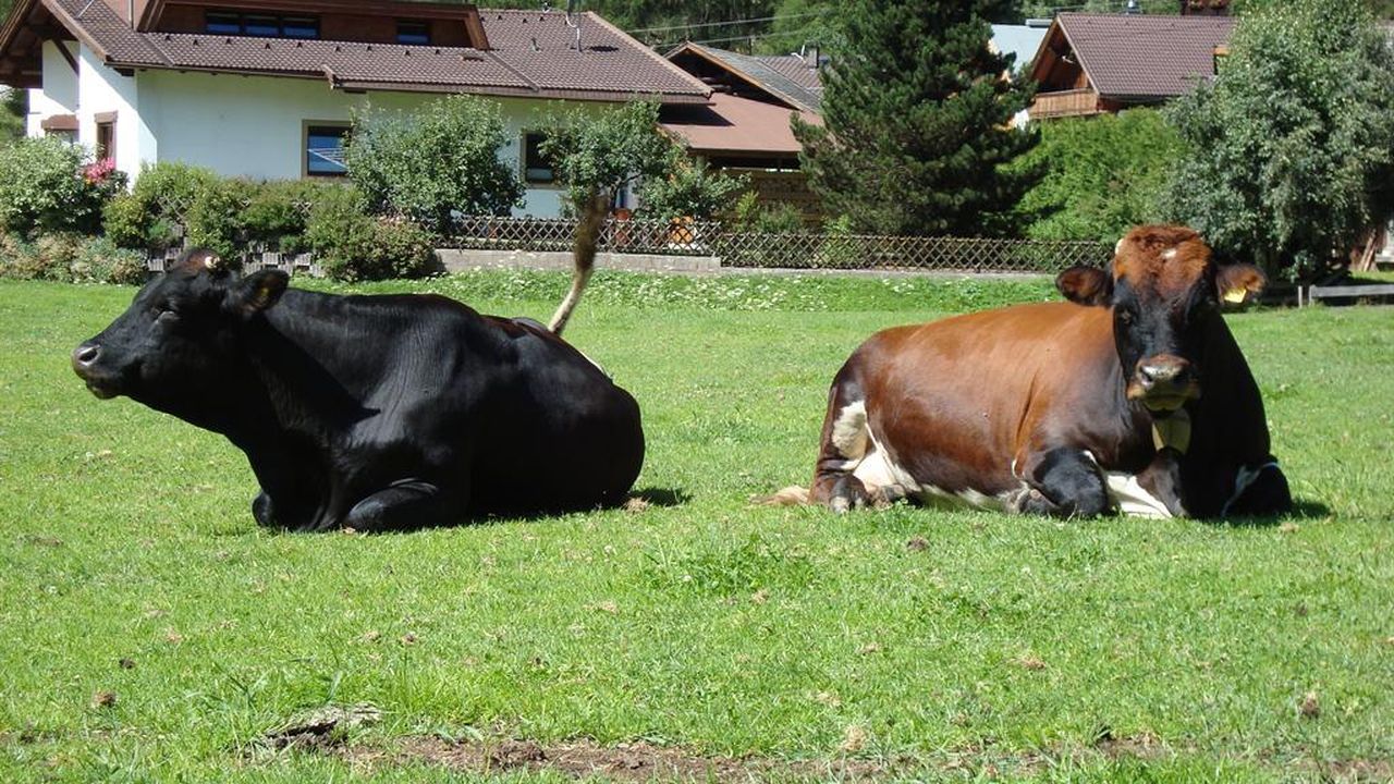 Natur pur Natur pur
